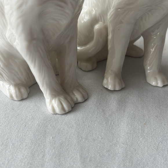 Adeline collection kittens - Picture 6 of 6